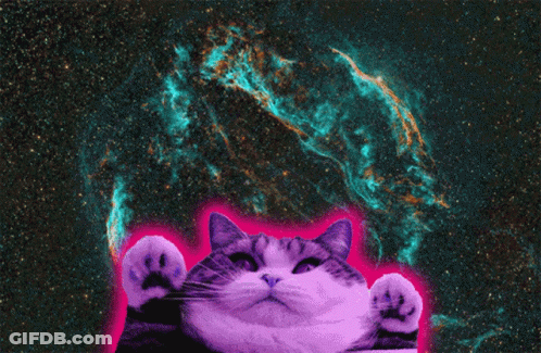 Cat With Green Outline GIF