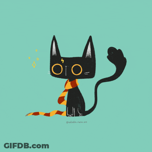 Cat With Gryffindor Scarf GIF