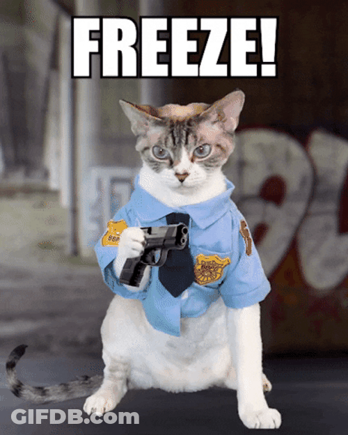 Cat With Gun Freeze GIF