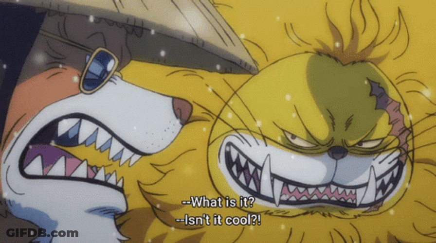Cat With Gun Kaido With Bullets GIF