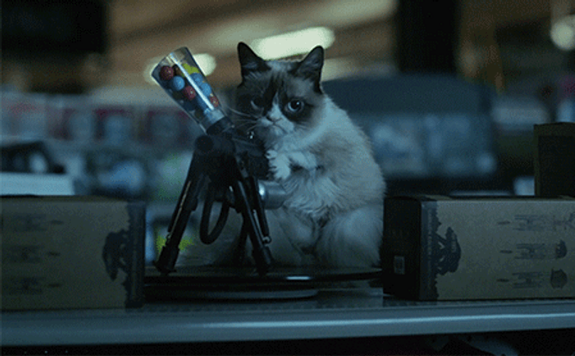 Cat With Gun Shooting Fire GIF