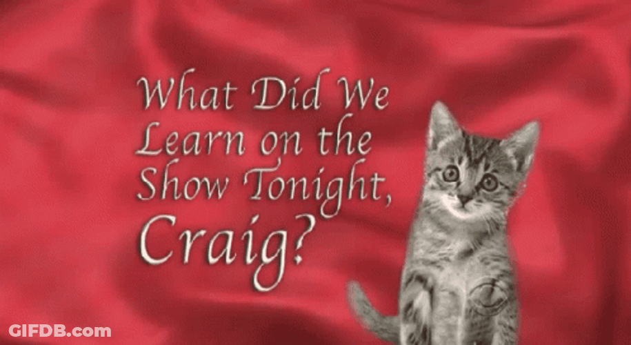 Cat With Gun Shots Mouse GIF