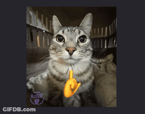 Cat With Hand Pointing Up And Letters Acenie R GIF