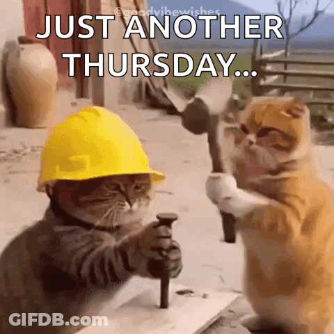 Cat With Hard Hat Holding Hammer And Nail GIF