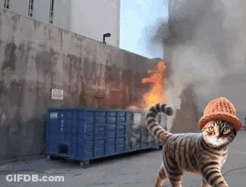 Cat With Hat Near Burning Dumpster GIF