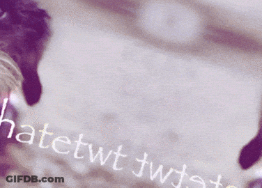 Cat With Hatetwt Twist GIF