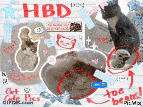 Cat With HBD GIF