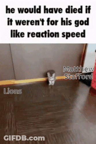 Cat With He Would Have Died If It Werent For His God Like Reaction Speed GIF