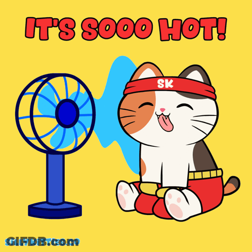 Cat With Headband Saying SK GIF
