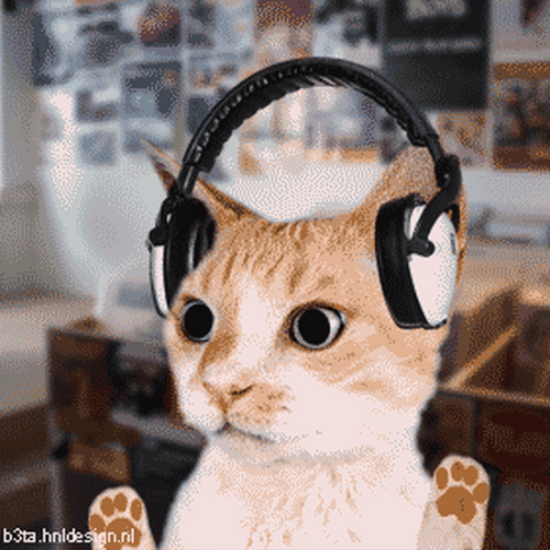 Cat With Headphone GIF