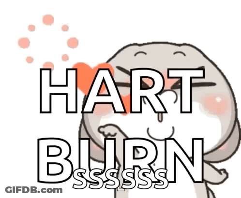 Cat With Heart And Hart Burn GIF