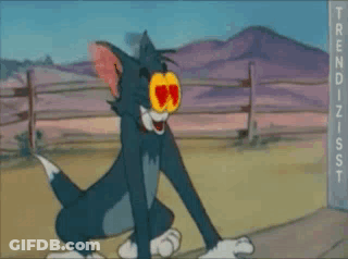 Cat With Heart Eyes GIF