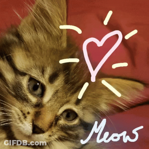 Cat With Heart Saying Meow GIF