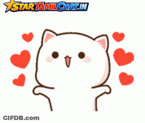 Cat With Hearts And Text Star Tamilchat.in GIF
