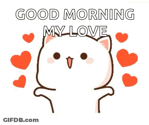 Cat With Hearts Good Morning My Love GIF