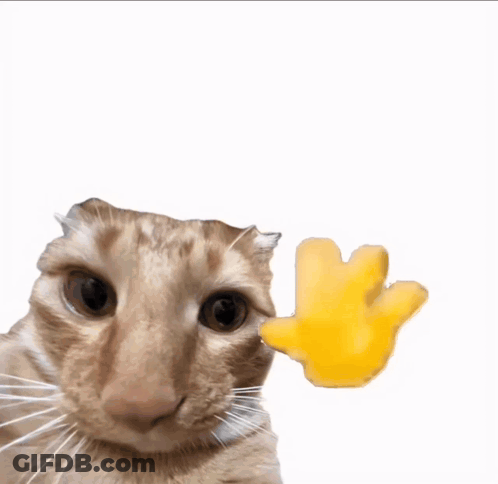 Cat With Hello Text GIF