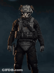 Cat With Helmet Holding Gun GIF