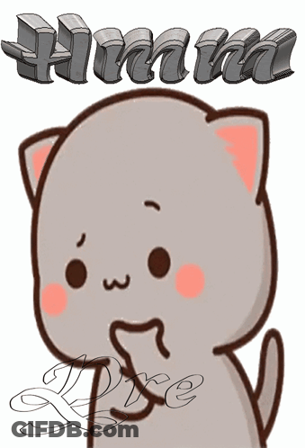 Cat With Himma GIF