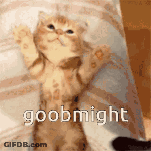 Cat With Honk Shoo Mimimi GIF