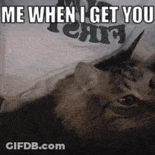 Cat With Horns Saying Me When I Get You GIF