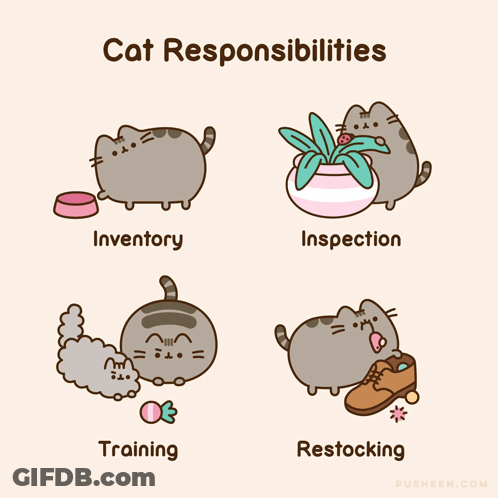 Cat With Inventory Inspection Training And Restocking GIF