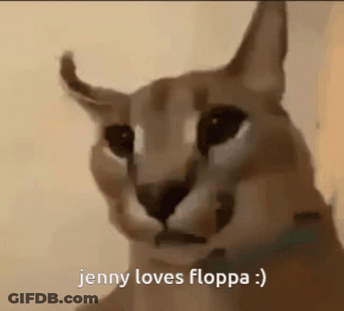 Cat With Jenny Loves Floppa GIF