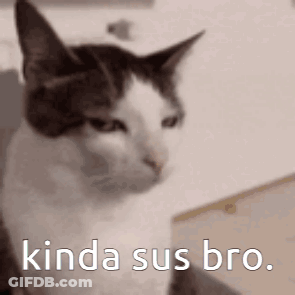 Cat With Kinda Sus Bro Text GIF