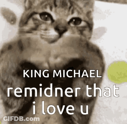 Cat With King Michael Remindner That I Love U GIF