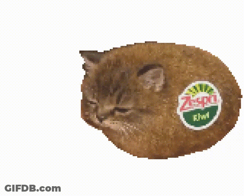Cat With Kiwi Sticker On Face GIF