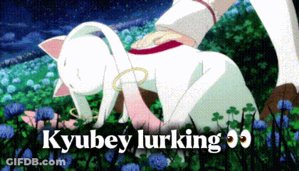 Cat With Kyubey Lurking GIF