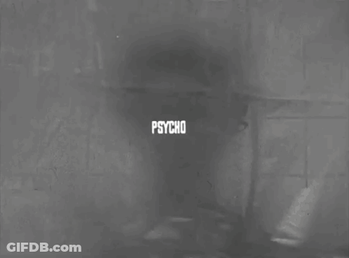 Cat With Leaf On Head Saying So True GIF