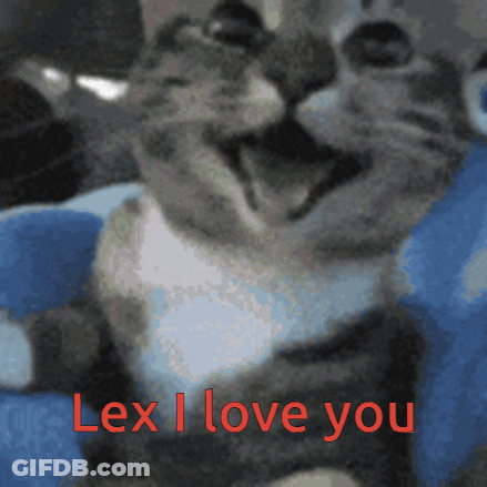 Cat With Lex I Love You Text GIF
