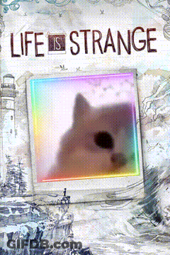 Cat With Life Is Strange GIF