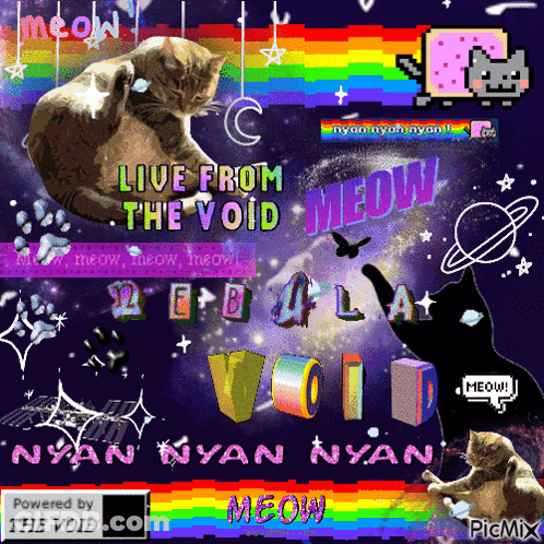 Cat With Live From The Void Text GIF