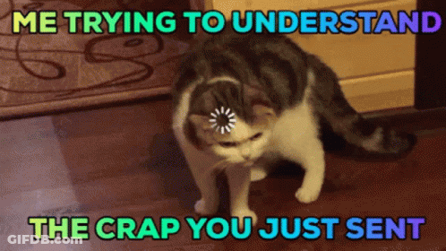 Cat With Loading Bar Saying Me Trying To Understand The Crap You Just Sent GIF