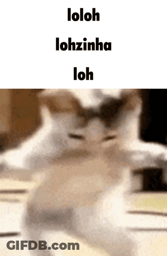 Cat With Loloh Lohzinha Words GIF