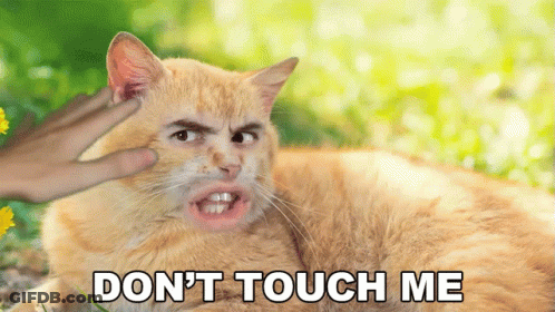 Cat With Man's Face Saying Don't Touch GIF