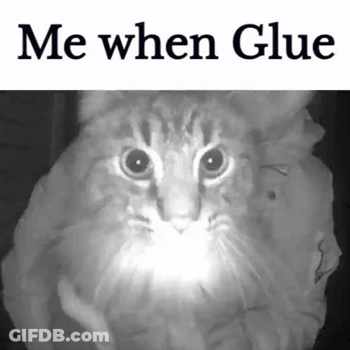 Cat With Me When Glue GIF