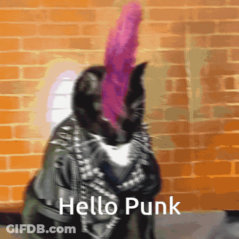 Cat With Mohawk And Leather Jacket Saying Hello GIF