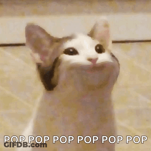 Cat With Mouth Open And Pop Pop Pop Pop Pop Pop GIF