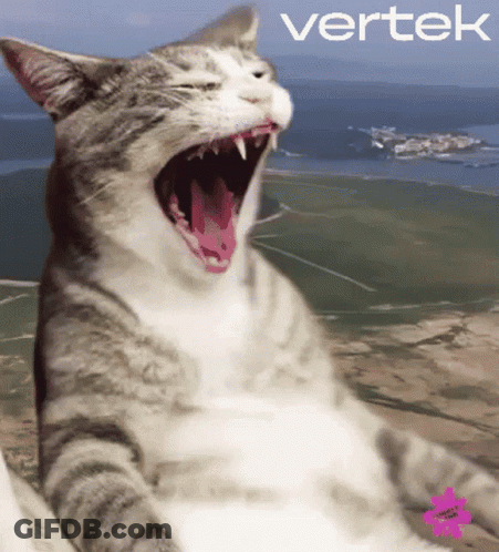 Cat With Mouth Open And Vertek Behind GIF
