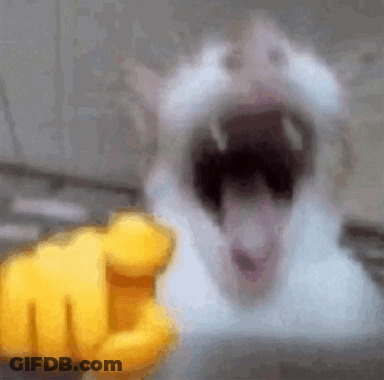 Cat With Mouth Open Pointing At Yellow Fist GIF