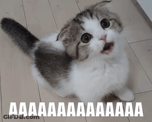 Cat With Mouth Open Saying Aa Aa Aa Aa Aa GIF