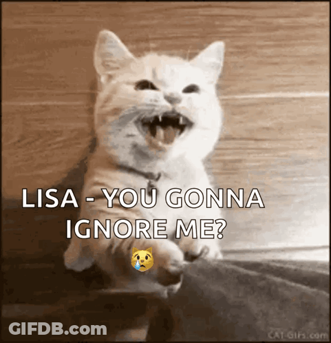 Cat With Mouth Open Saying Lisa You Gonna Ignore Me GIF