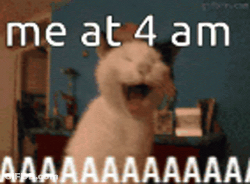 Cat With Mouth Open Saying Me At 4 AM GIF