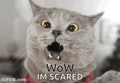 Cat With Mouth Open Saying Wow Im Scared GIF