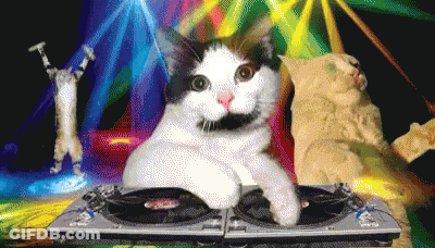 Cat With Mustache On DJ Turntable GIF