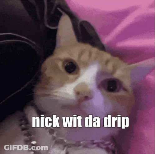 Cat With Nick Wit Da Drip GIF