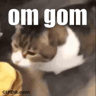 Cat With Om Gom Text GIF