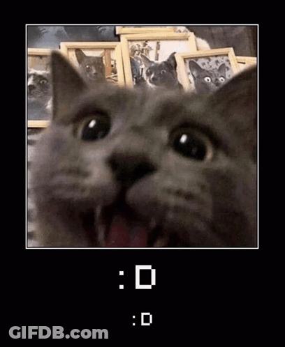 Cat With Open Mouth Among Cat Pictures GIF